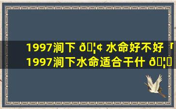 1997涧下 🦢 水命好不好「1997涧下水命适合干什 🦋 么职业」